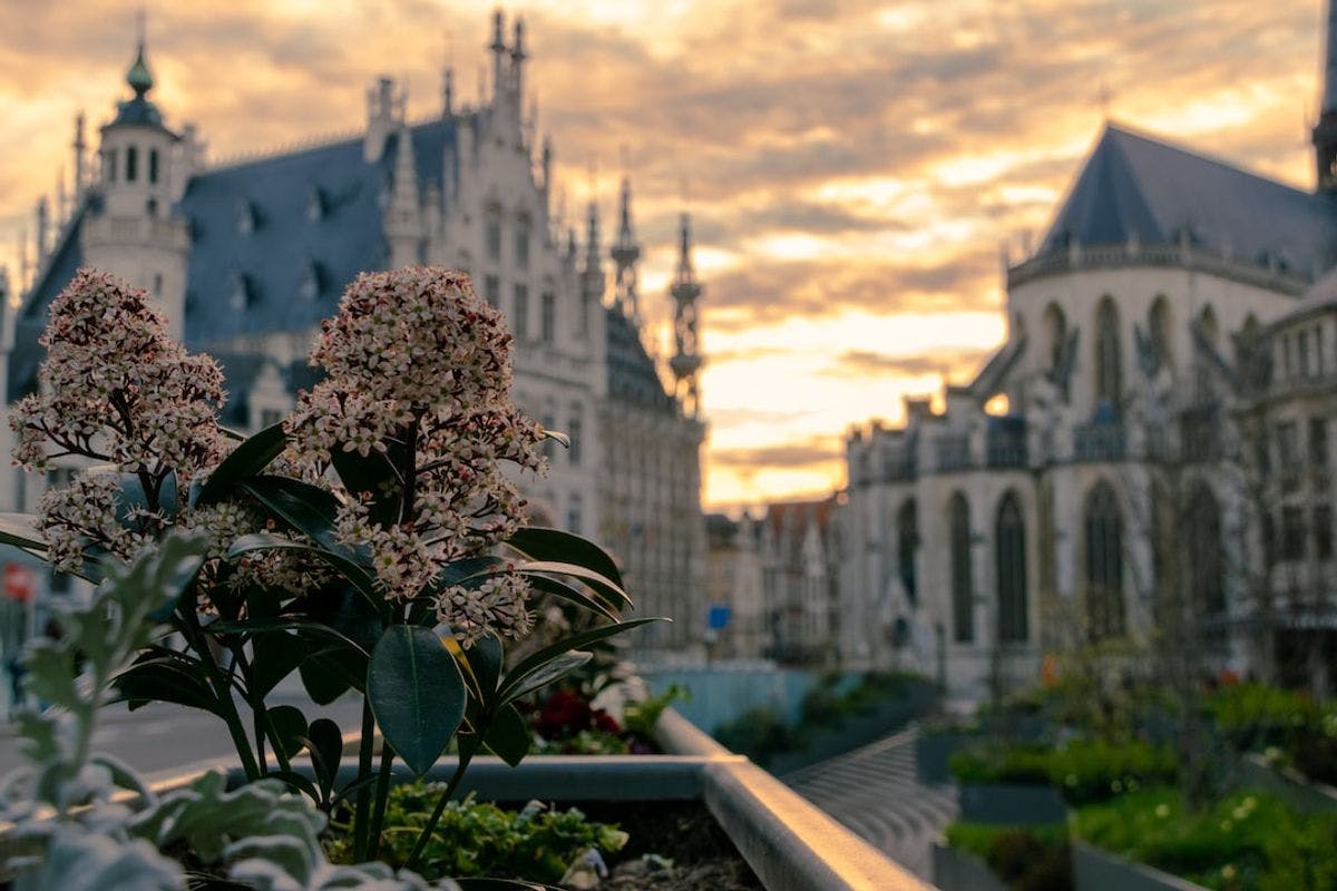 Best Hotels in Leuven